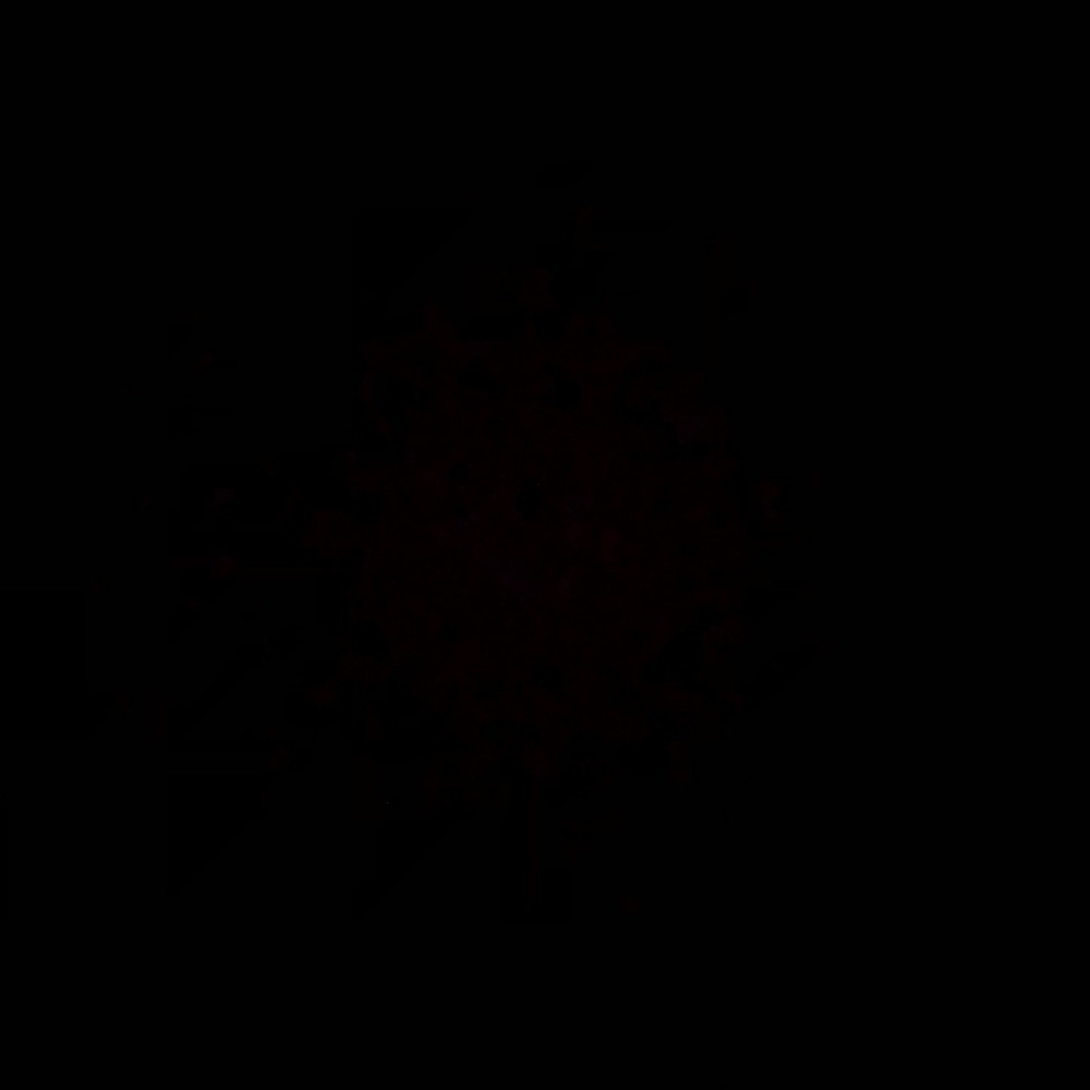 Meet your Posher, Clementine